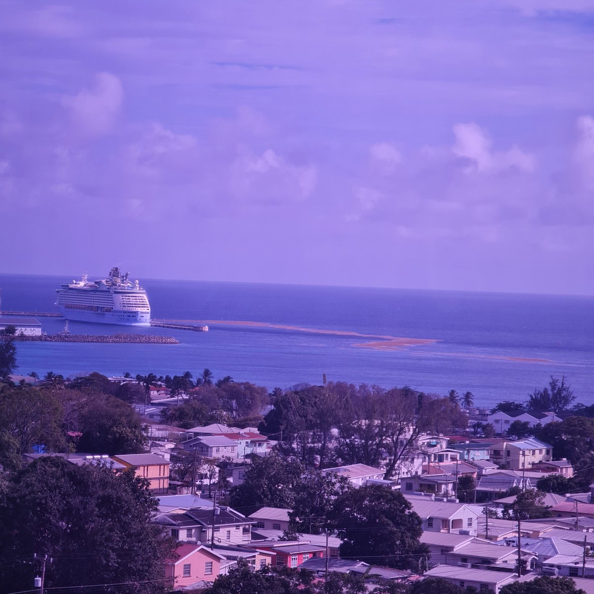 rumandsargassum's tweet photo. 👀The blob is here! Can you see it?

📷View from @UWI_CaveHill  in 🇧🇧 #Barbados, via Prof. Clive Landis, Campus Principal.

👋 We retweet #Sargassum videos and photos. Tag us. https://t.co/b6t06CXvK8