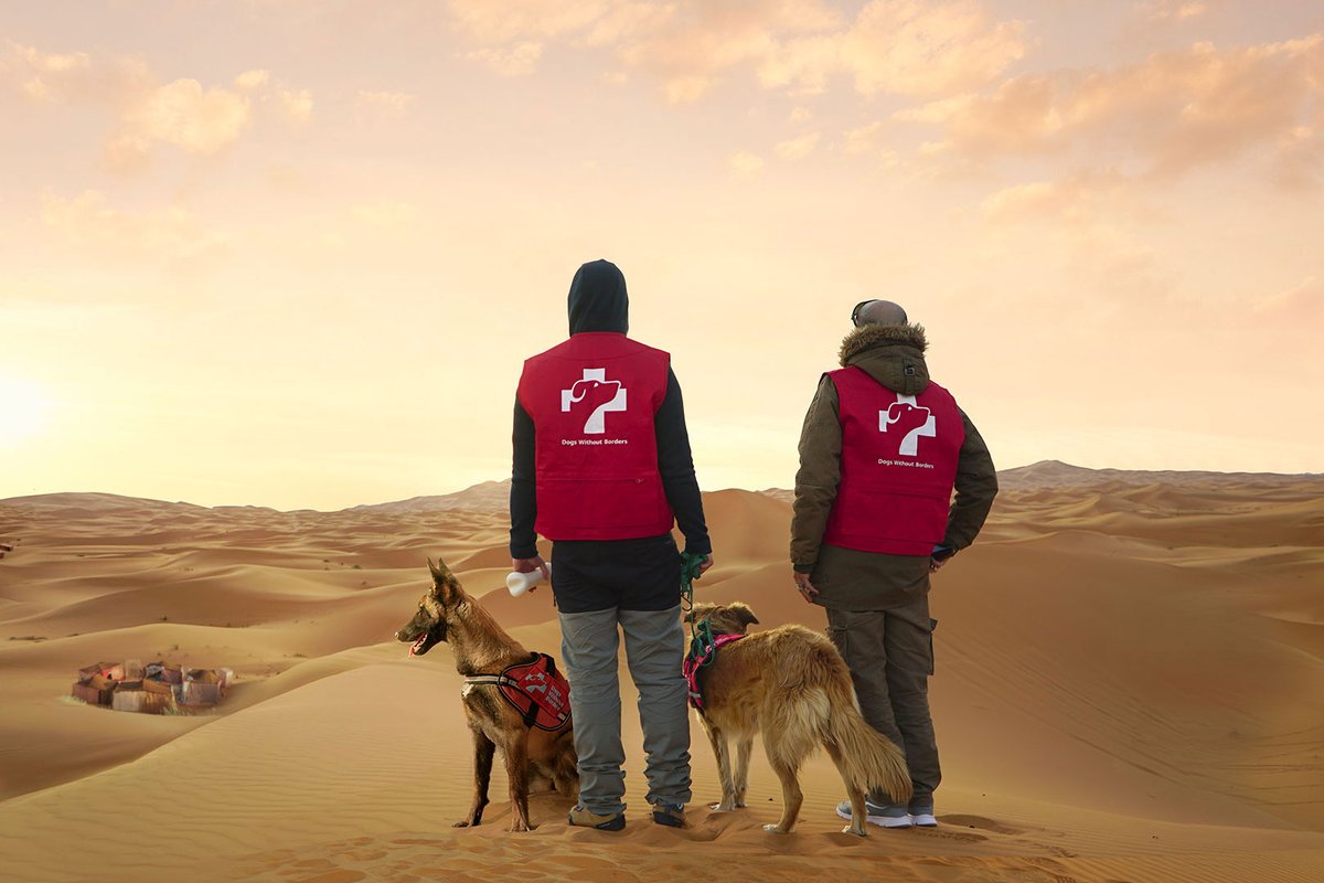creativitymag's tweet photo. ‘Dogs Without Borders’ trains rescue dogs to diagnose illness in remote communities: https://t.co/zpao8PEsiZ https://t.co/rd5Pi6gElk