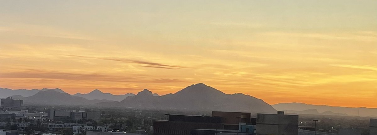 Leanne Kaye, PhD tweet media