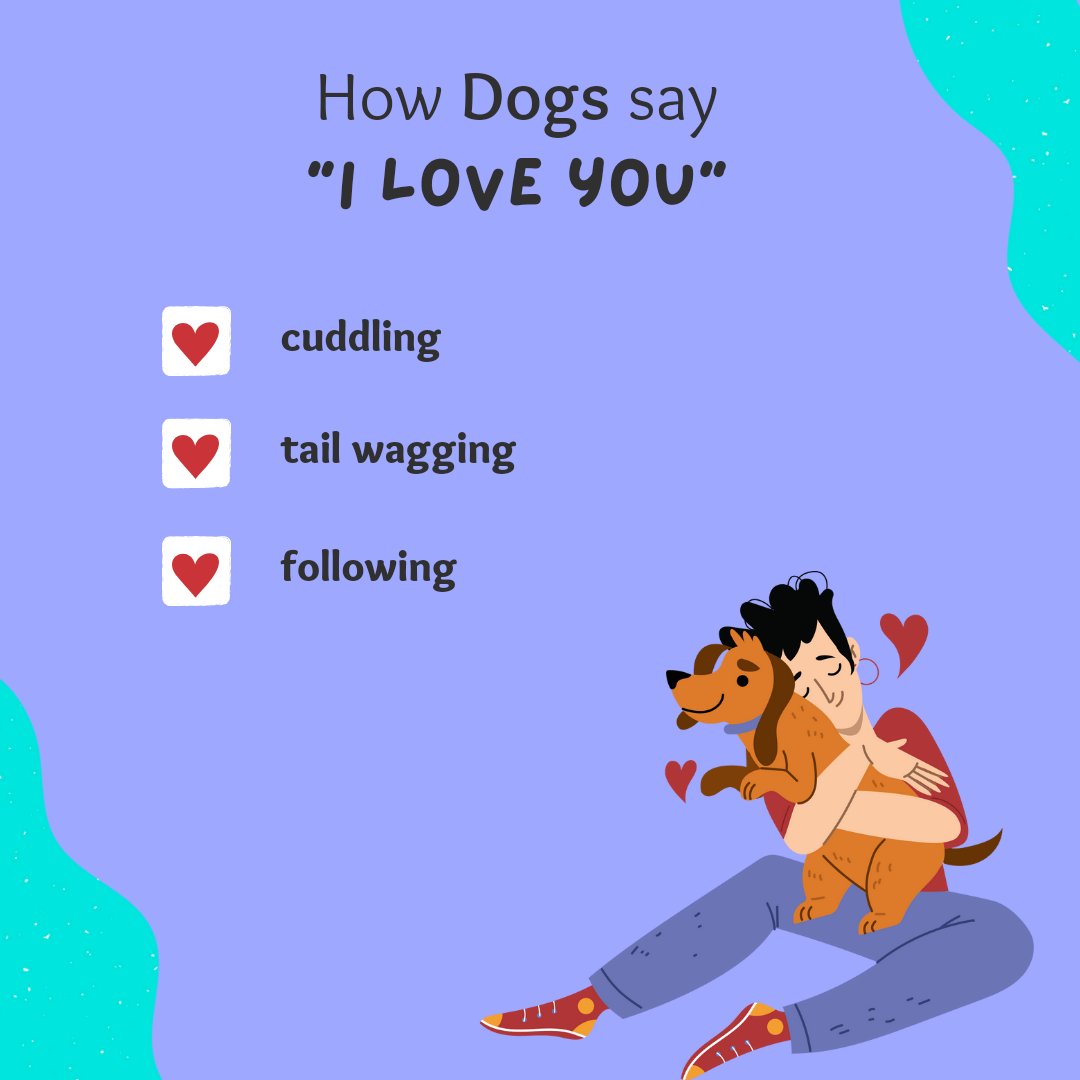 pawsfortailsind's tweet photo. How does your pet show their love to you? Tell us in comments! 
Visit our website : https://t.co/ipaMfVmBl5

#pawsfortails #pets #love #Affection #startup #startupindia #Indian #india #petprofile #petproducts #Website  #Trending https://t.co/aLi5xOC18s