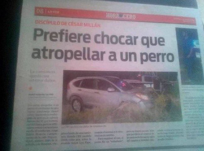 aialecs's tweet photo. podría ser yo perfectamente https://t.co/xUQz3SxL9n