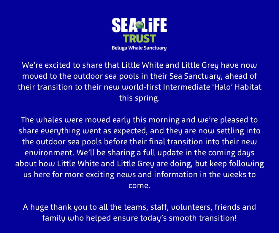 We’re excited to share that Little White and Little Grey have now moved to the outdoor sea pools in their Sea Sanctuary, ahead of their transition to their new world-first Intermediate ‘Halo’ Habitat this spring.

Read our full update here!
