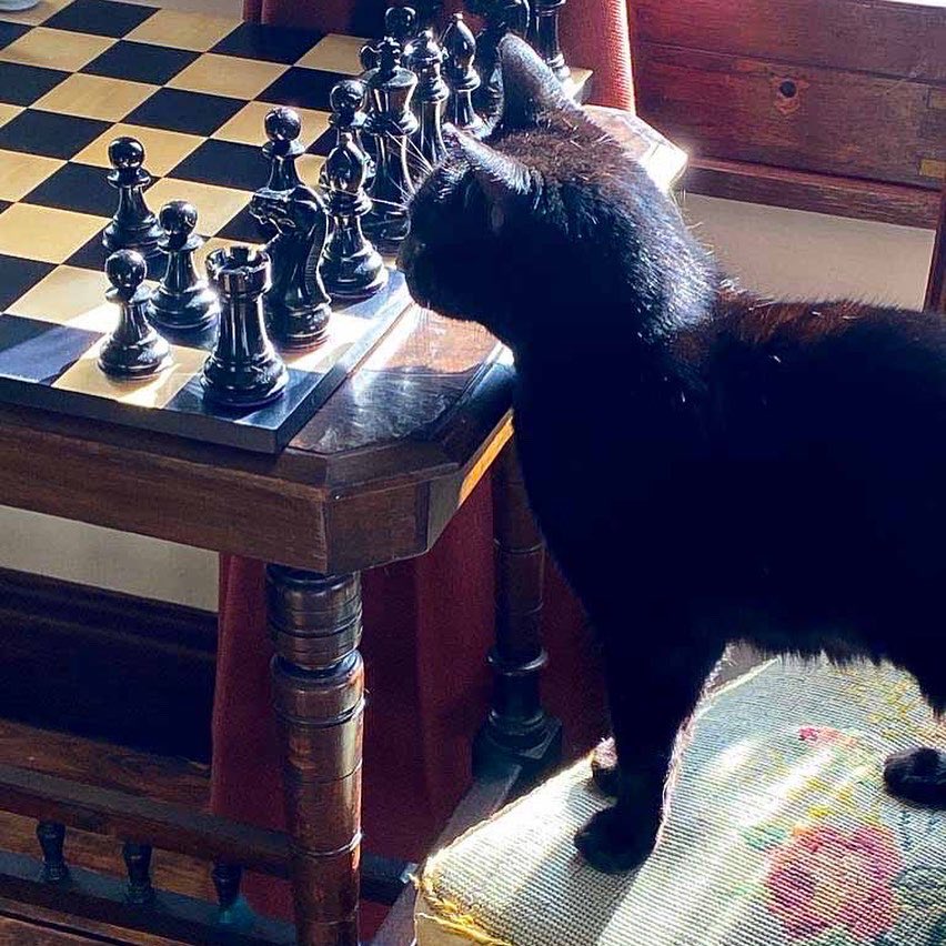 Purling | Make Time to Play tweet media