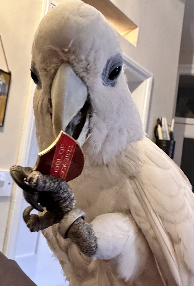 CAODS (Lincoln) tweet media