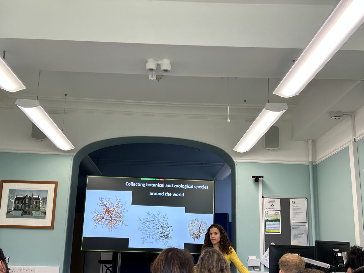 Rose Trappes tweet media