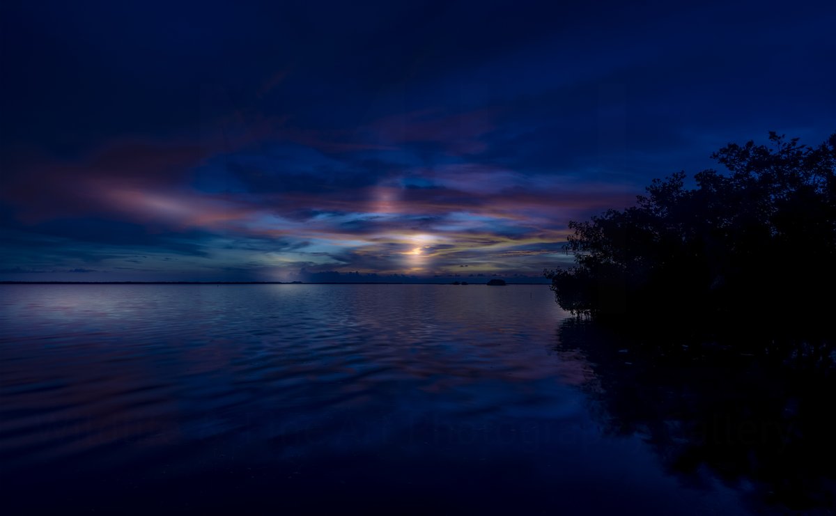 Nightfall #charlotteharbor
#TwitterNatureCommunity