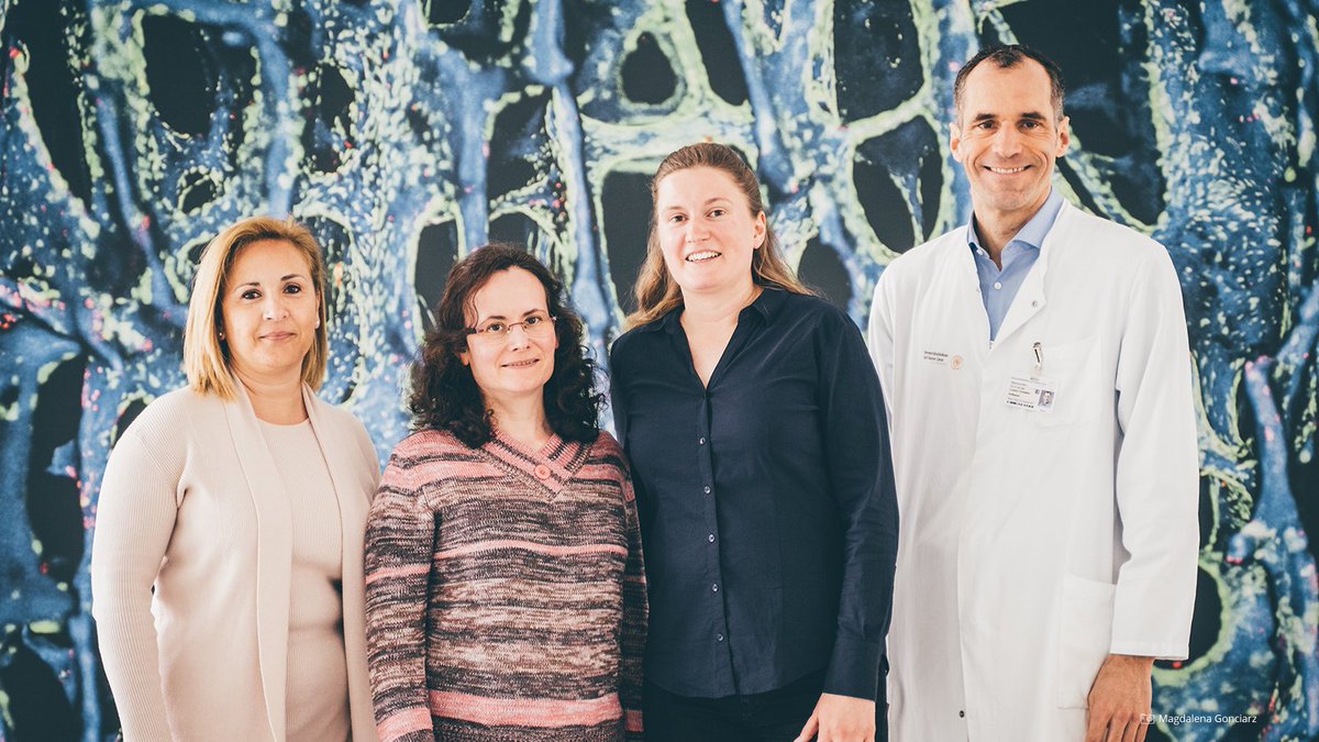 Eine süße Lösung für ein hartes Problem: 🦴 Ein interdisziplinäres Forschungsteam am <a href="/BIOTEC_TUD/">Biotechnology Center (BIOTEC) of TU Dresden</a> hat neuartige bioinspirierte Moleküle auf Zuckerbasis entwickelt, welche die Knochenregeneration verbessern könnten. Mehr Infos ➡️ tu-dresden.de/tu-dresden/new…