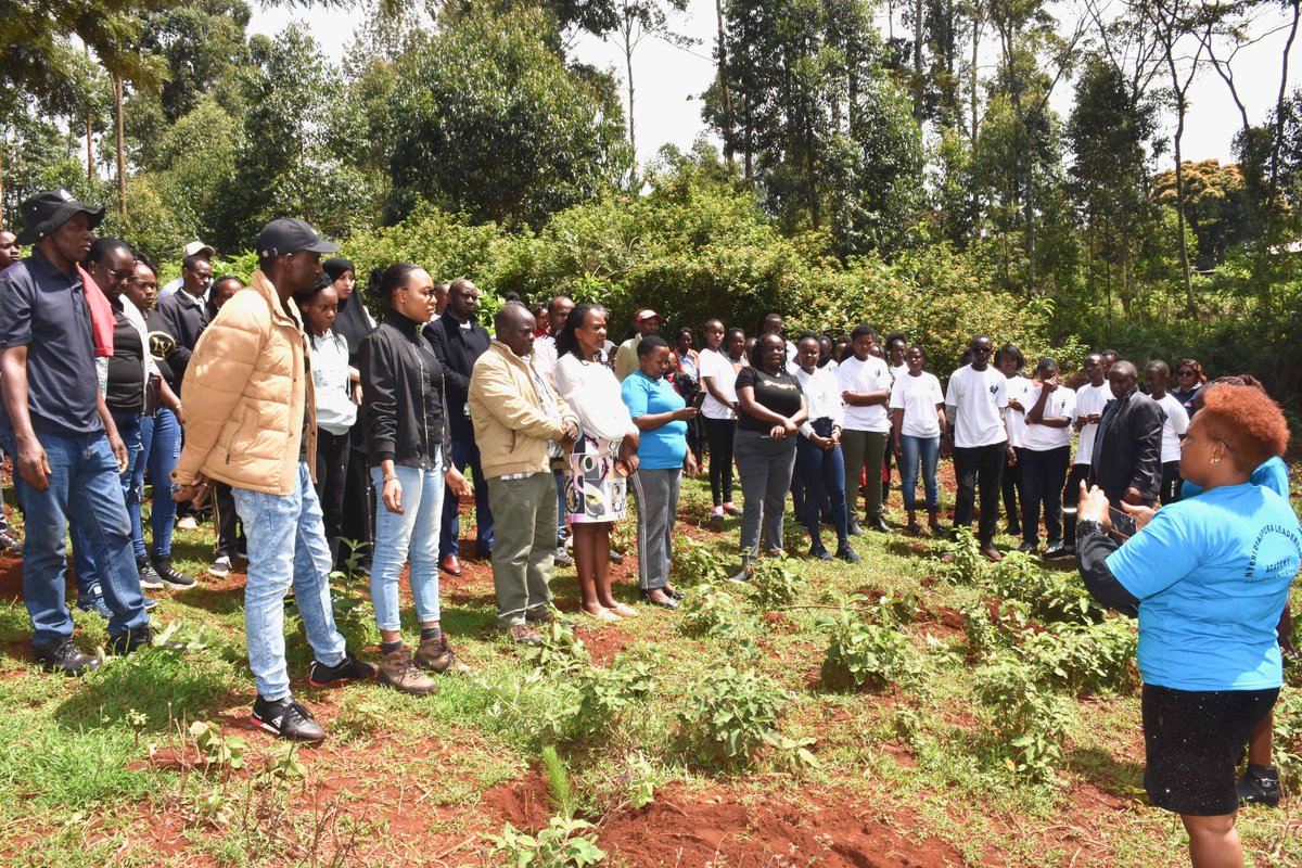 Diaspora_KE's tweet photo. Adoption of #Diasporaforest🇰🇪 which is in line with H.E @WilliamsRuto's commitment to plant 15 Billion trees by 2030, aligns with the @Diaspora_KE's mandate to mainstream Kenyans abroad into the national development processes and involvement in the Community. (2/2) #jazamiti https://t.co/2GLNIfrvYi