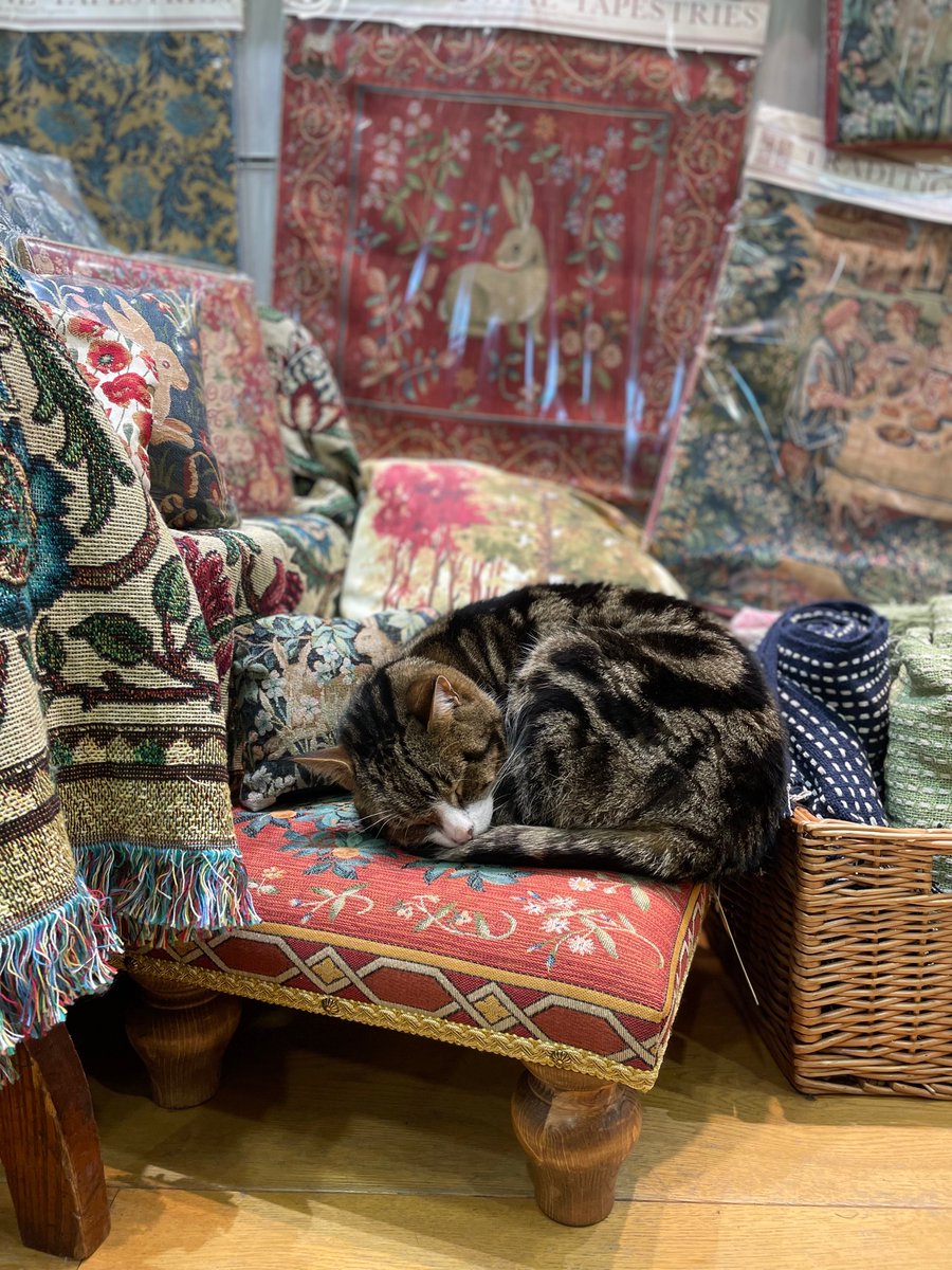 Dr Naomi on Twitter "RT RebeccaMenmuir Where better for a cathedral