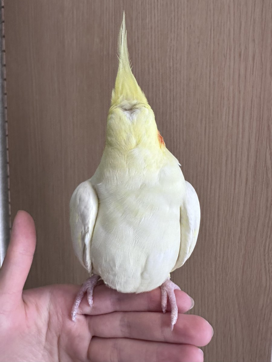 確認(・:゜д゜:・)♡画像3枚 このタグを見た人はド正面の写真を貼る