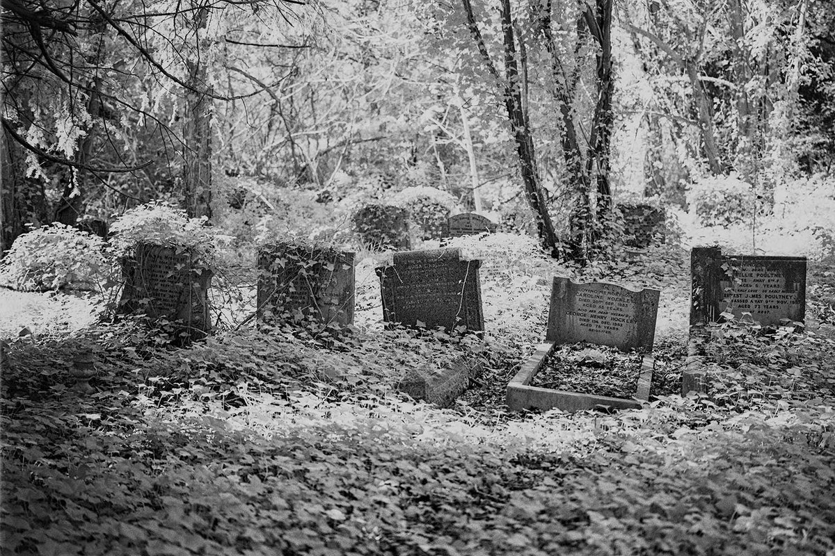 peterhdavies42's tweet photo. St Pancras Cemetery - Leica M6 and Rollei Infrared film (with IR filter). #CameraChallenge https://t.co/vU4L8ZreeQ