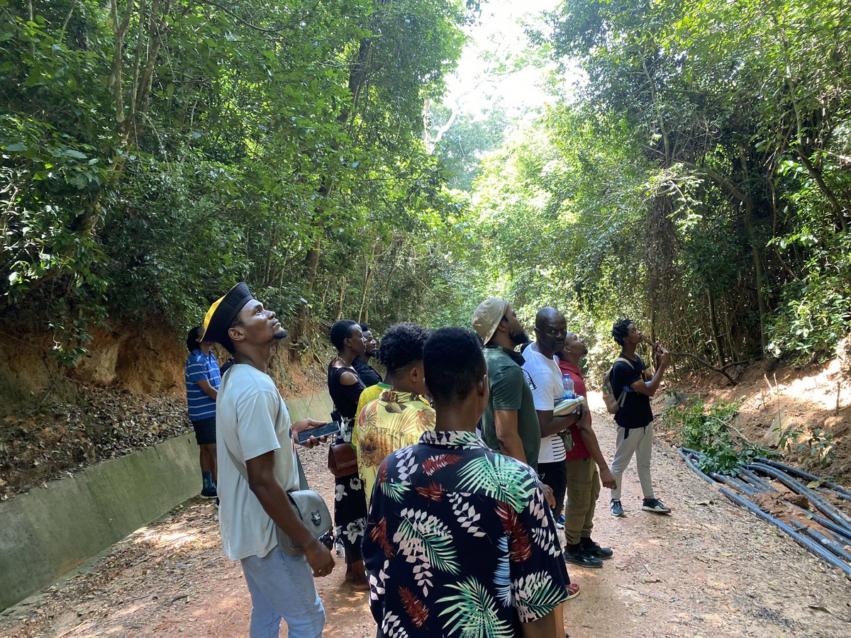Environmental workshop tour in Tanzania at Pugu hills forest with Mayotte dancers from Royaume des fleurs - Cie Kazyadance and Muda Africa dancers.
 
<a href="/Accescultureafr/">Accès Culture Afrique</a> 
#mtimwiri #mapafuyangu #deforestation