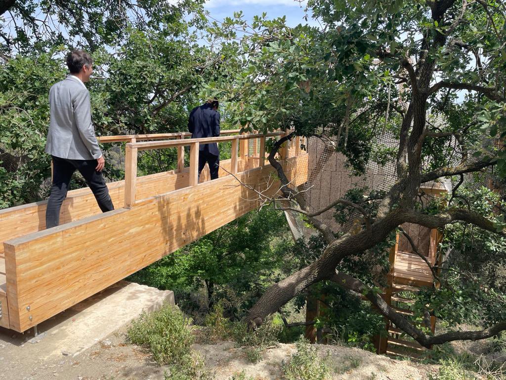 Jordi Solé 🇪🇺|||| tweet media