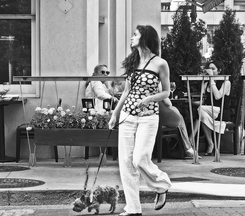 Happy Friday #HappyFriday #summer #patioweather #dogs #pets  #style #streetphotography #blackandwhite #blackandwhitephotography #Monochrome #city #life #Toronto #people #yorkville