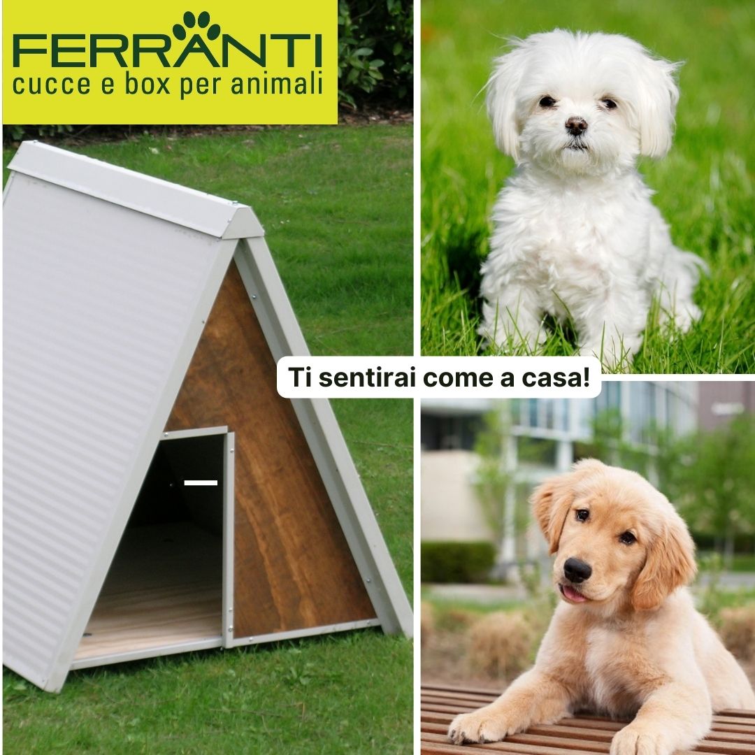 Ferrantinet's tweet image. 