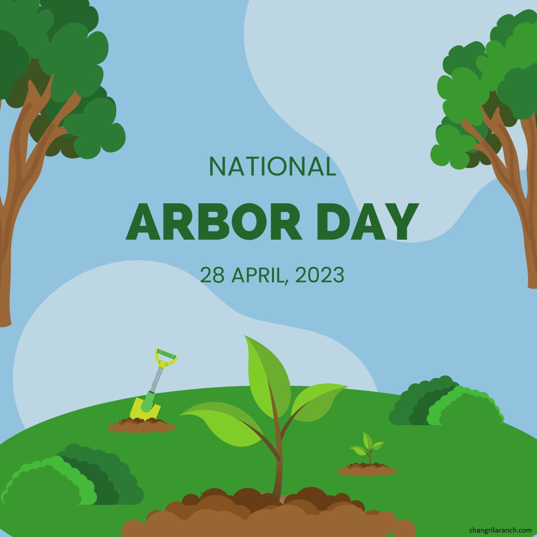 Celebrate National Arbor Day on April 30th by planting a tree! 🌳 Make every season special & do your part to create lasting beauty and help protect our environment. #ArborDay #PlantTrees #EnvironmentallyConscious tinyurl.com/2dl6qbgl