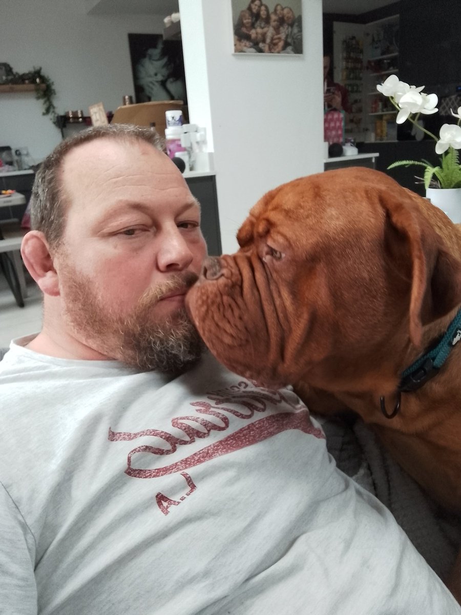 Tommo33s's tweet image. Happy 1st birthday to my best mate Sven. He's always there to calm me down and helps me relax. 👍🏻😉❤️. #bestmate #dougedebordeaux #frenchmastiff #birthday #braininjury #dementia