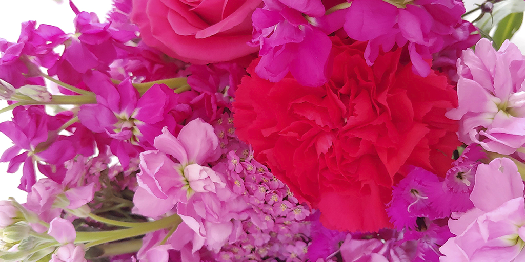 bloomingmore's tweet image. Viva Magenta is the stunning Pantone color of 2023 and we have an amazing selection of magenta florals for a stunning Pantone arrangement #pantone2023