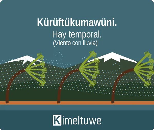 Andrea__ctm's tweet photo. Küruf + mawün 🌬 🌧 🥰
#Temuko https://t.co/h1w1eusvC0