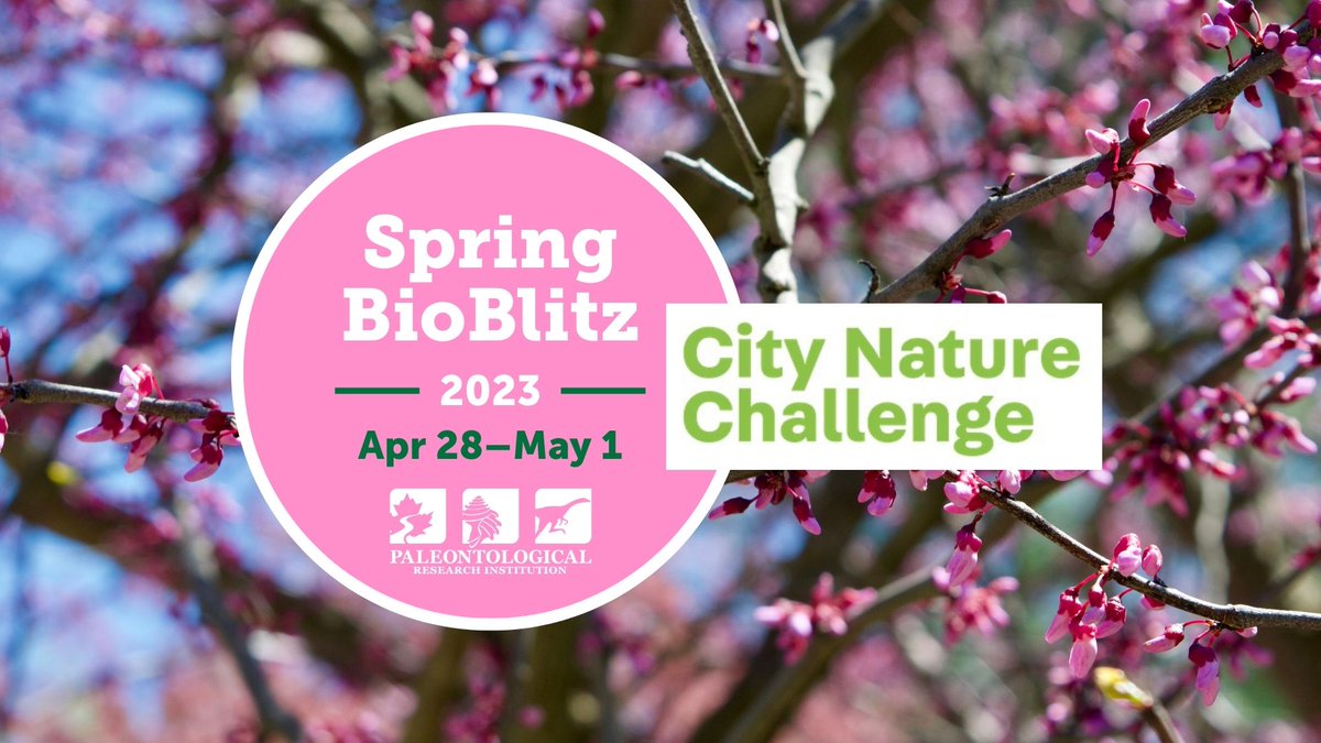 Cayuga Nature Center tweet media