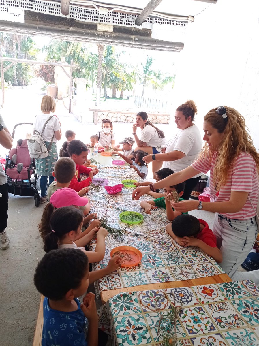 Ceip Ciudad de Mobile tweet media