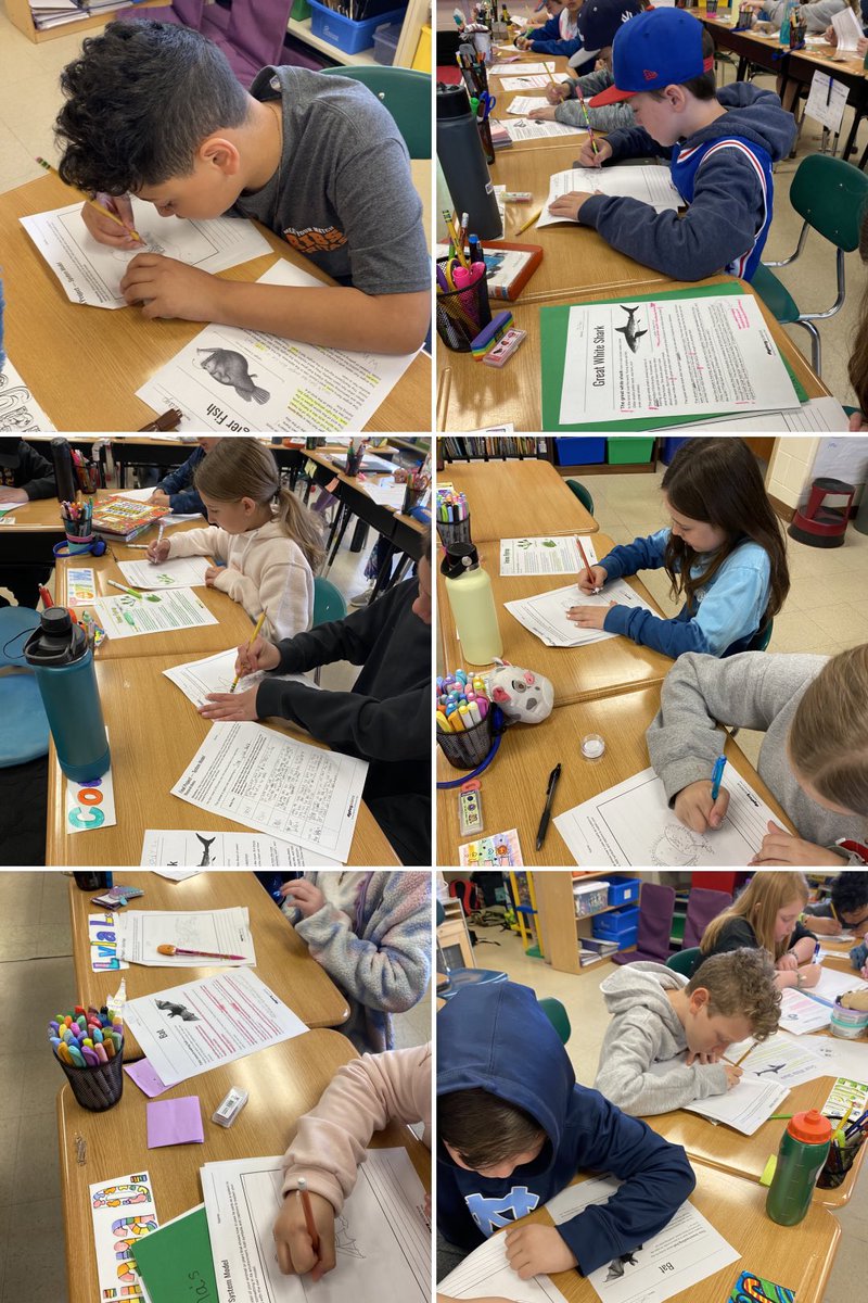 Katie Vaccarino tweet media