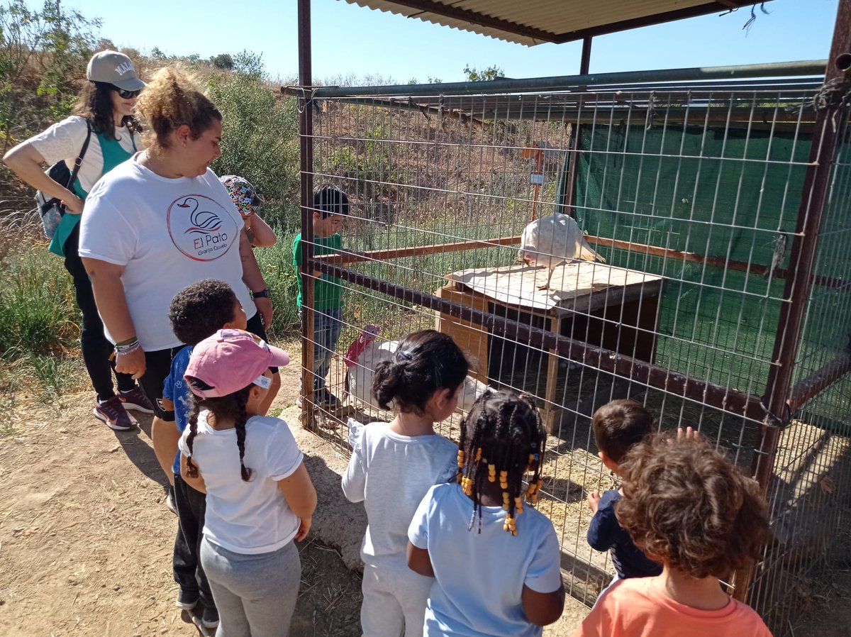 Ceip Ciudad de Mobile tweet media