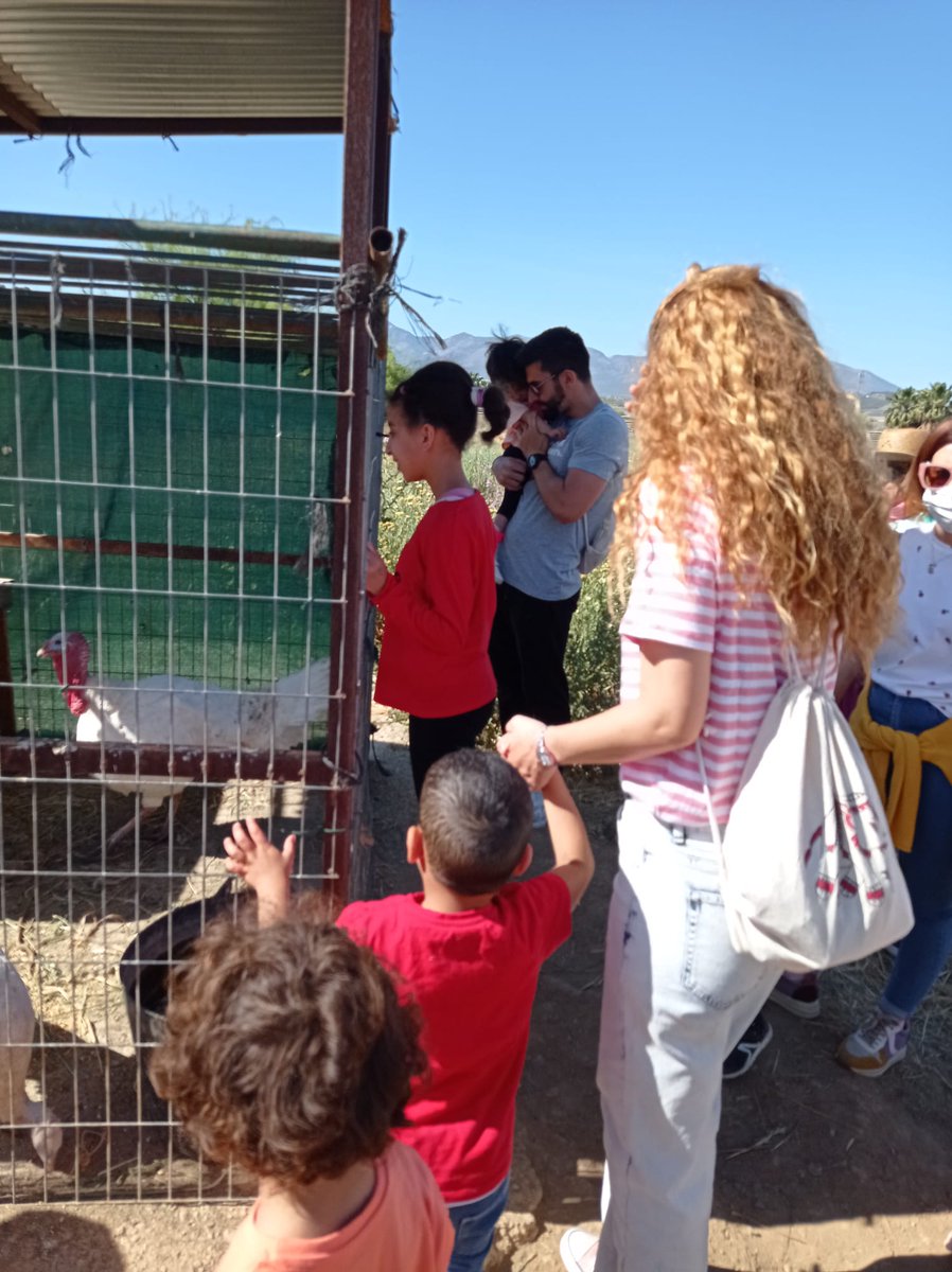 Ceip Ciudad de Mobile tweet media