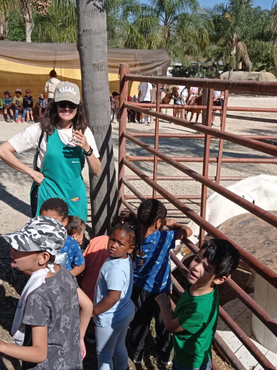 Ceip Ciudad de Mobile tweet media