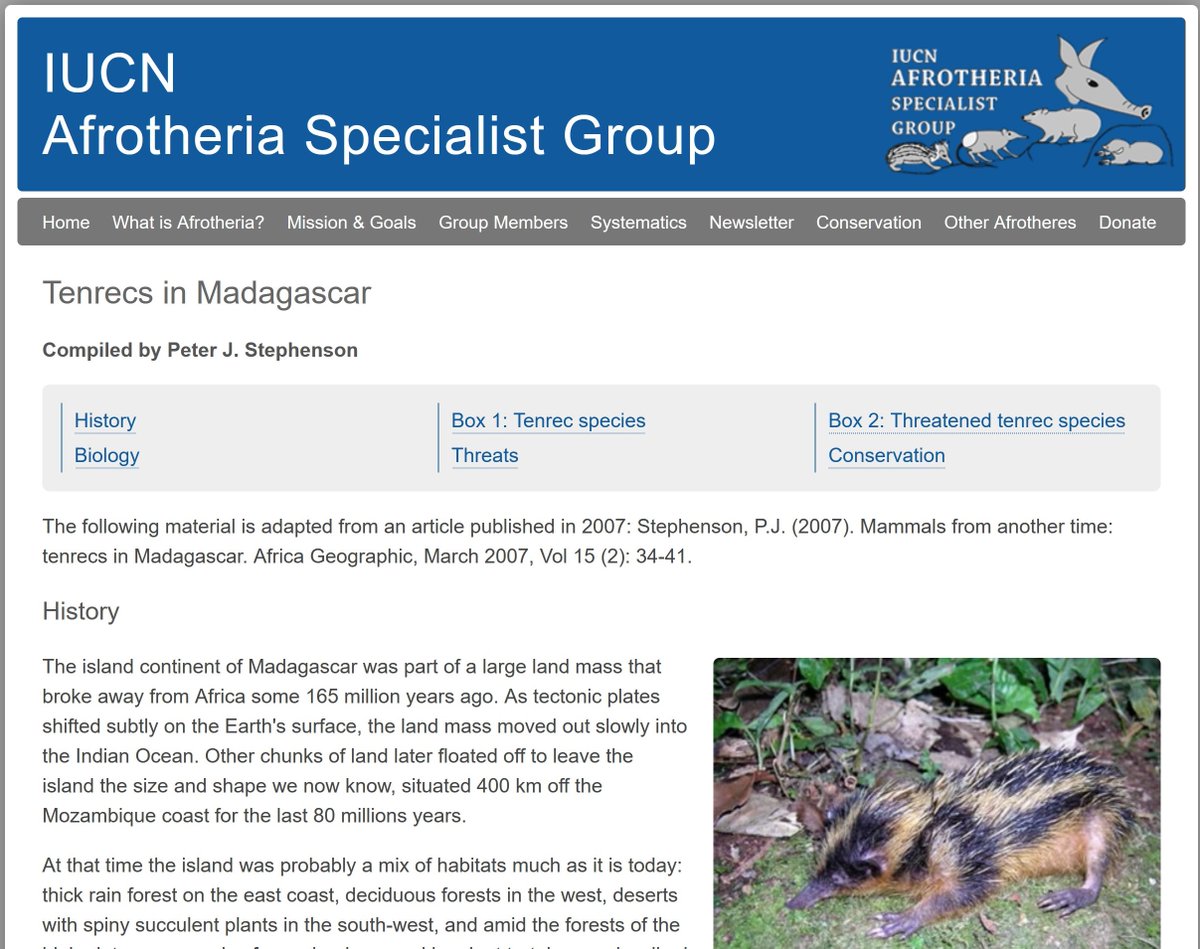 Tweeting_Tenrec's tweet photo. Find out more about #tenrecs 1:
Read the summary of Tenrecs in Madagascar on our website
https://t.co/ZwBpIDJEEt https://t.co/08W8DOvEKJ