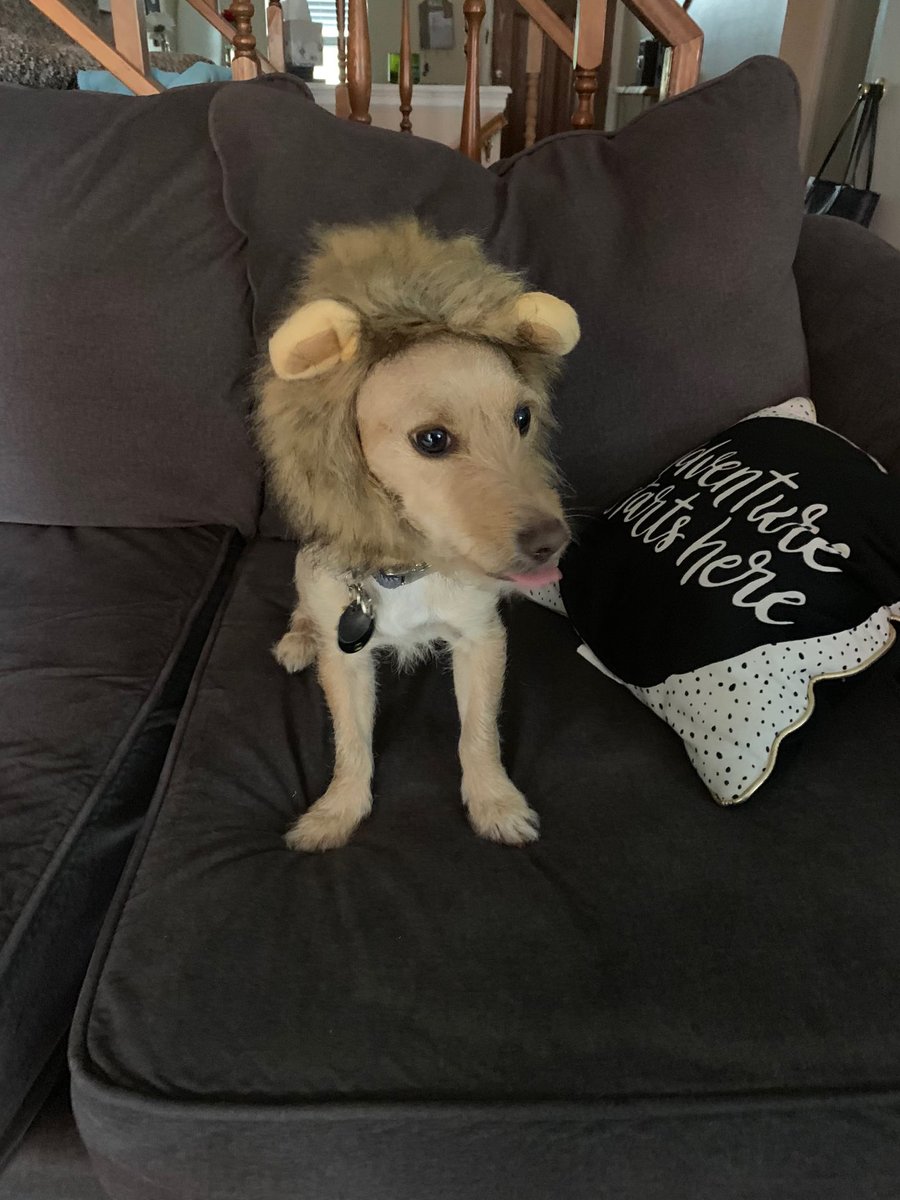 Happy Friday! Have a good day 🎉