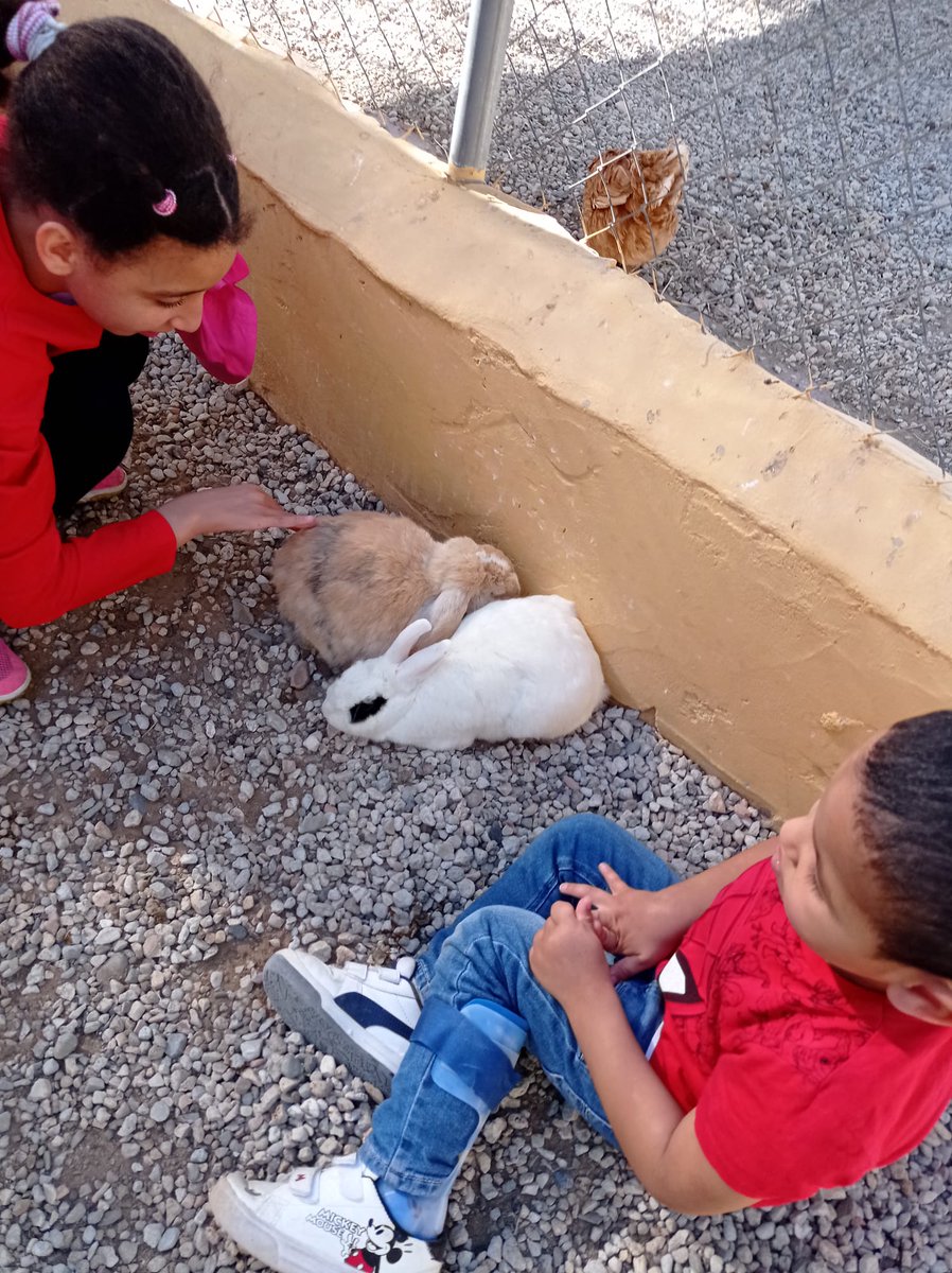 Ceip Ciudad de Mobile tweet media