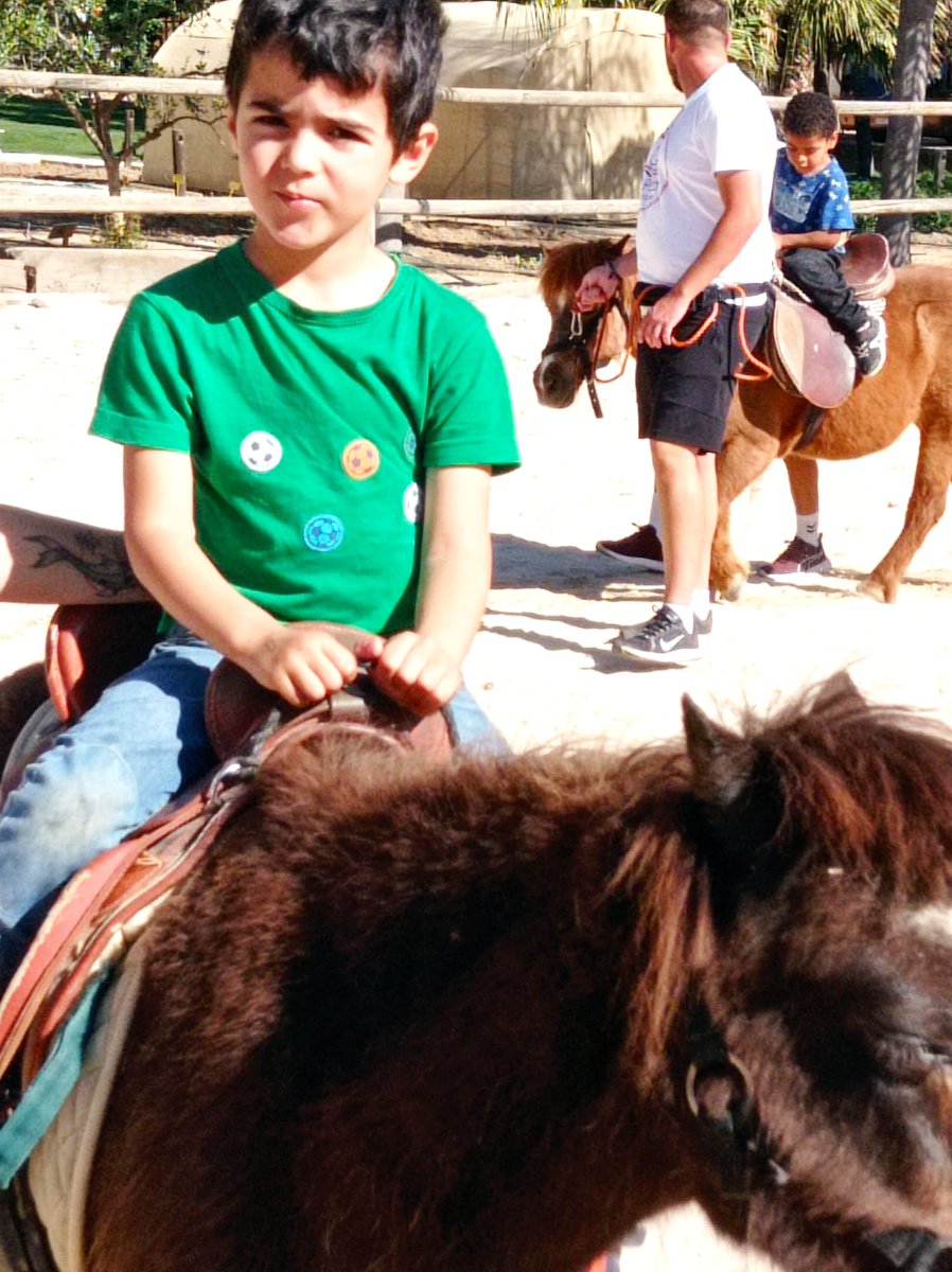 Ceip Ciudad de Mobile tweet media