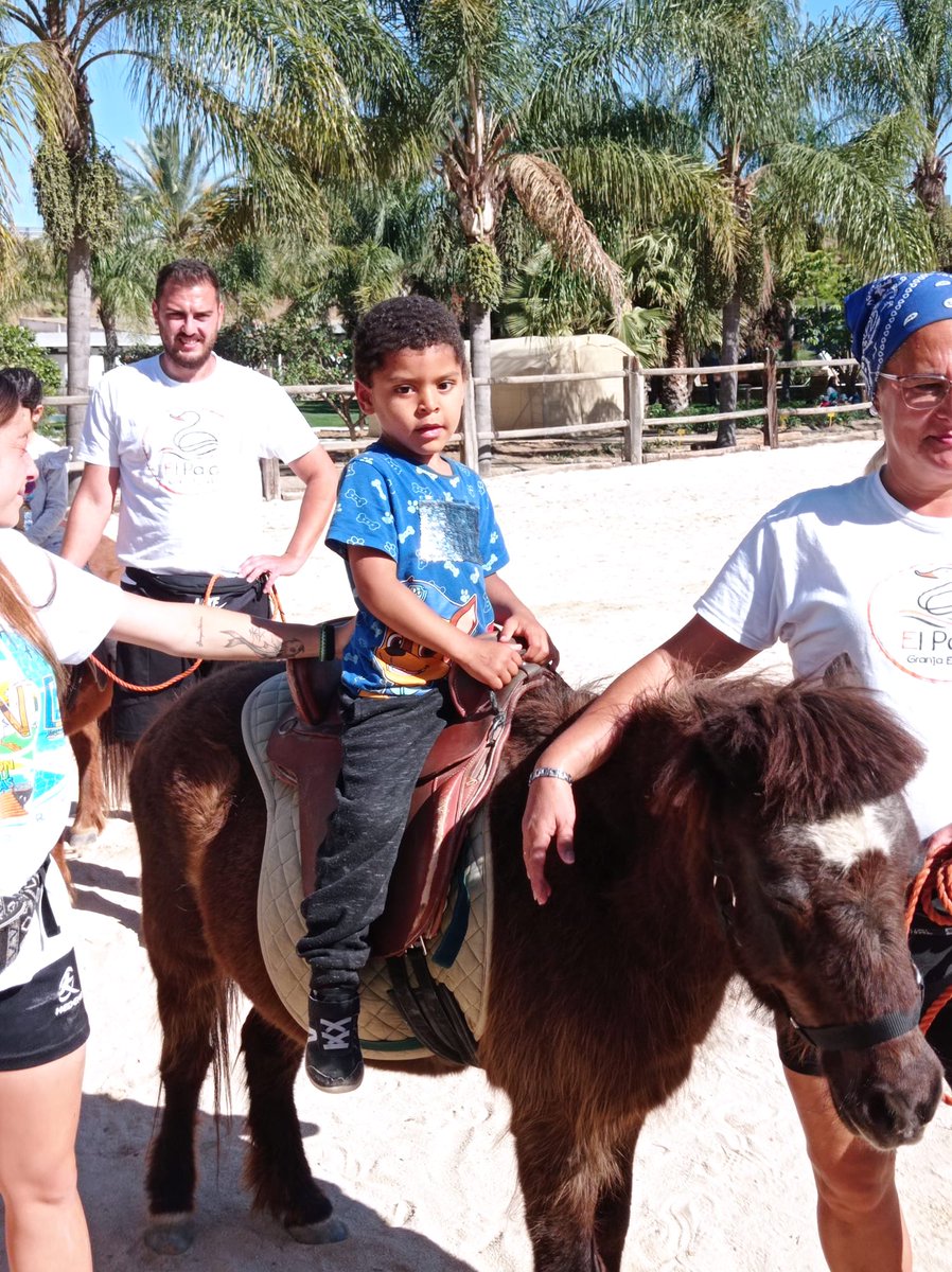 Ceip Ciudad de Mobile tweet media