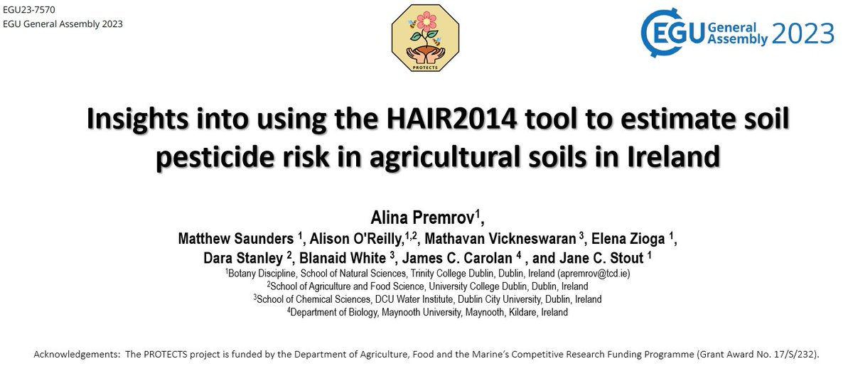 Alina Premrov tweet media