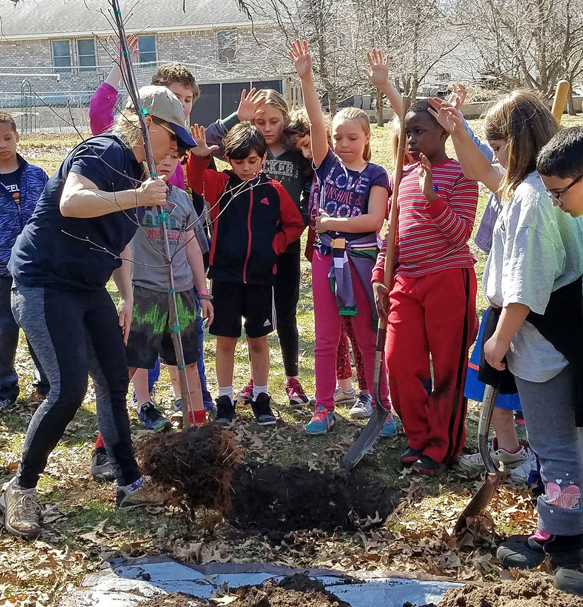 Minnesota Forestry tweet media