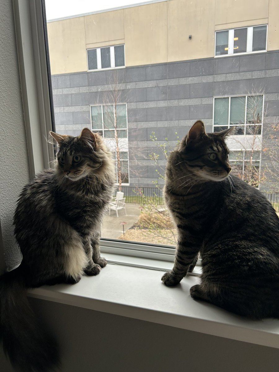 daggerglad's tweet image. Who’s that

Who are they

What are those

Who are you