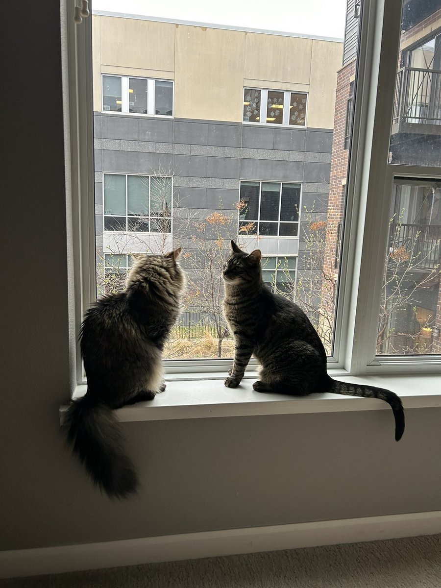 daggerglad's tweet image. Who’s that

Who are they

What are those

Who are you