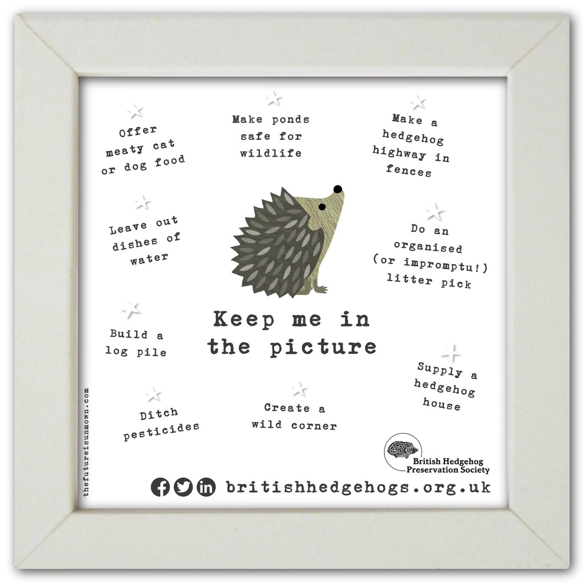 What an amazing #HedgehogWeek it's been! 
Huge thank you to all our patrons and supporters and to @TFIUnmown for these brilliant infographics, inspiring us all to keep hedgehogs in the picture!

We hope you'll share this far and wide for the good of the #hedgehogs 🦔