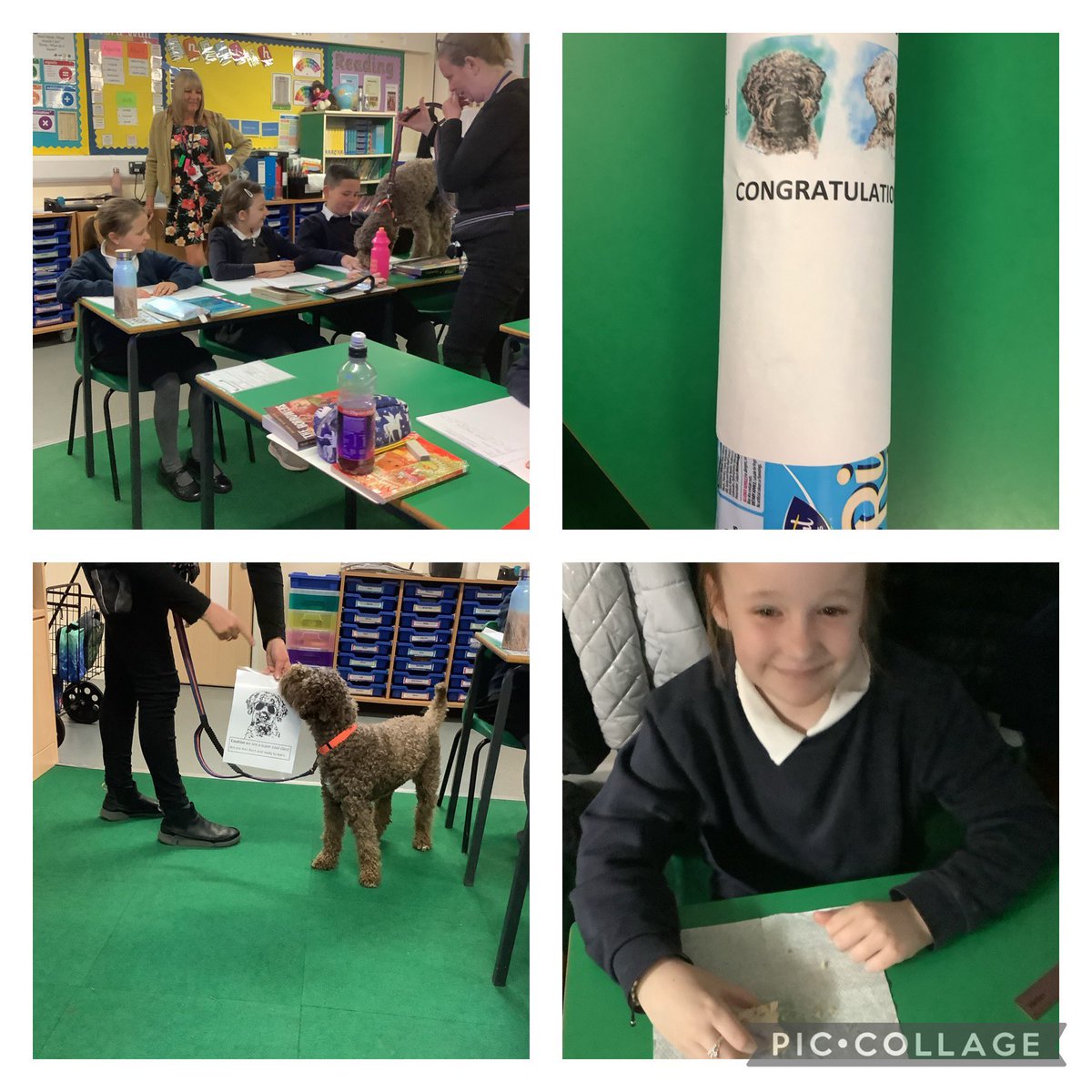 What a Friday in 4A! Celebration assembly, a visit from Ami, who was so impressed at how focused we all were, AND we won the attendance cake for best attendance this week! I’m very proud of everyone in my class. Well done 👍🏻 <a href="/paganelschool/">Paganel Primary</a>