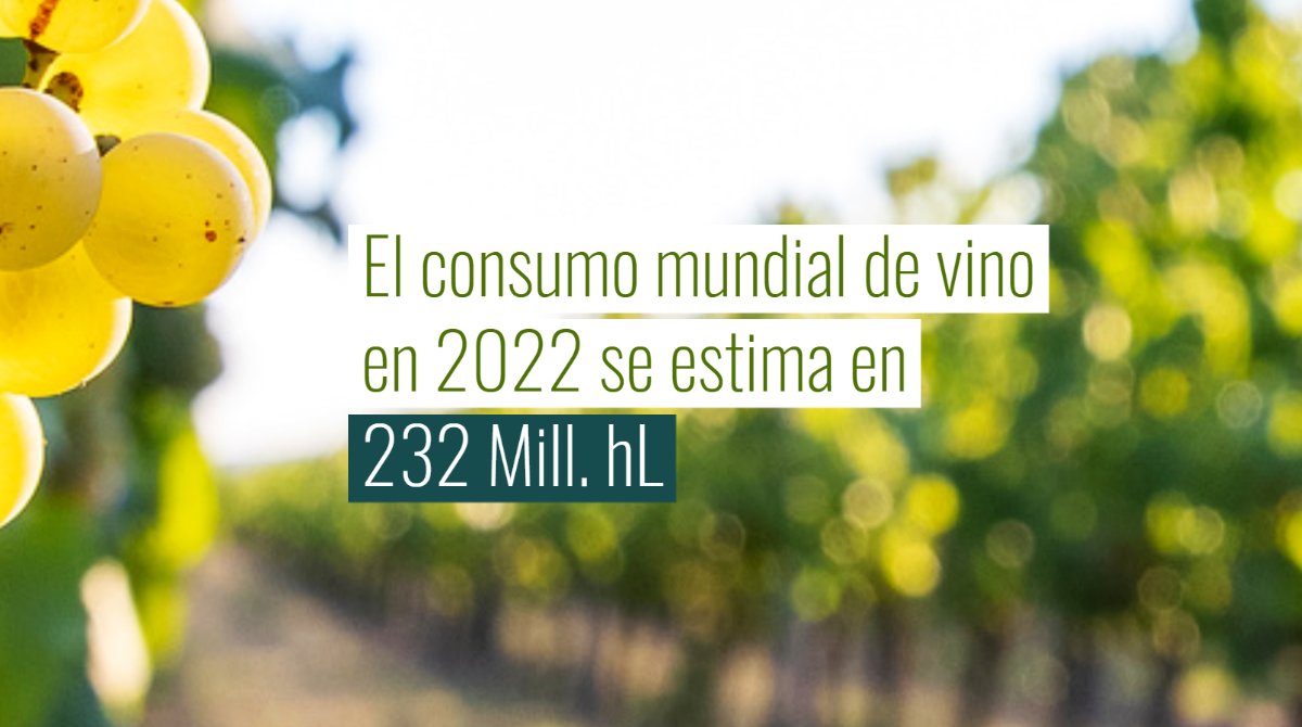 📈Los datos presentados en la conferencia de prensa de la OIV ya están disponibles en español 🆕 oiv.int/sites/default/…
#vino #viñedo #producciondevino #consumo #consumodevino #comercio #exportaciones #importaciones #inflación #crisisenergética #GuerraEnUcrania