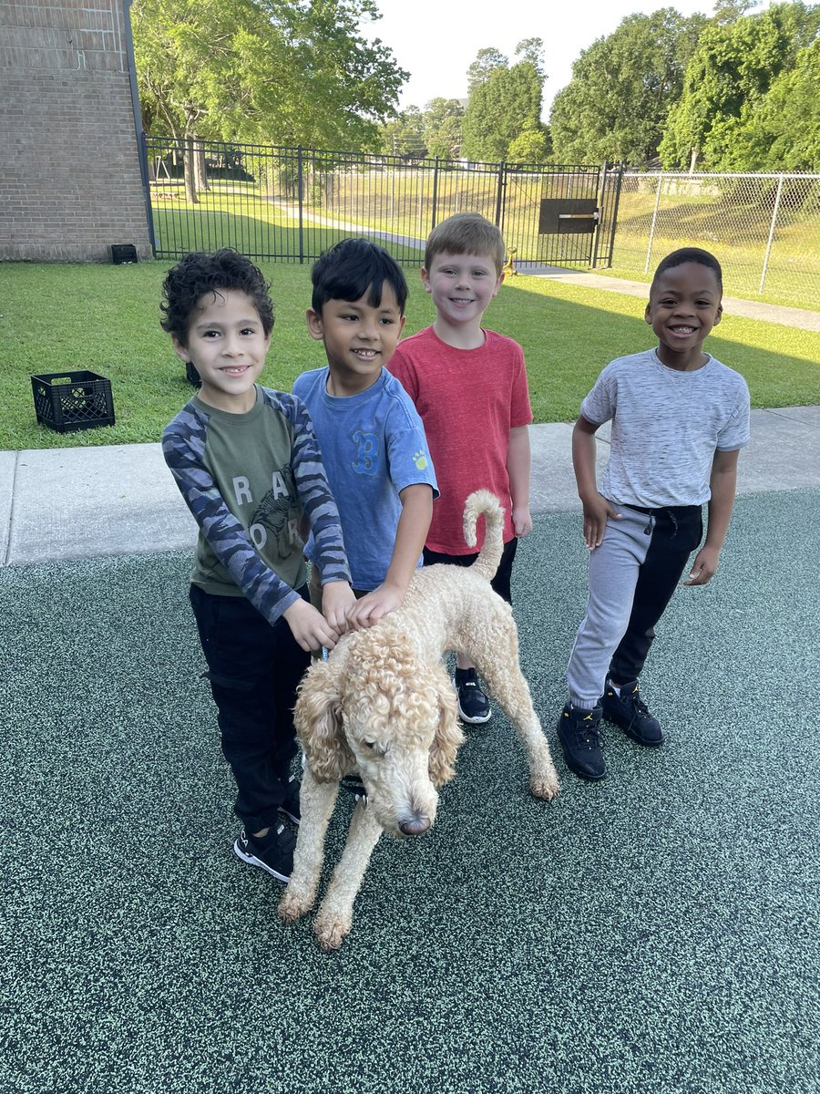 Kinder kiddos used Hoot tickets to play with Cooper!! <a href="/CooperFresh1/">Cooper "The Canine Counselor" Freshwater</a> <a href="/HumbleISD_OE/">Oaks Elementary</a> <a href="/bdockens/">brenda Wall</a>