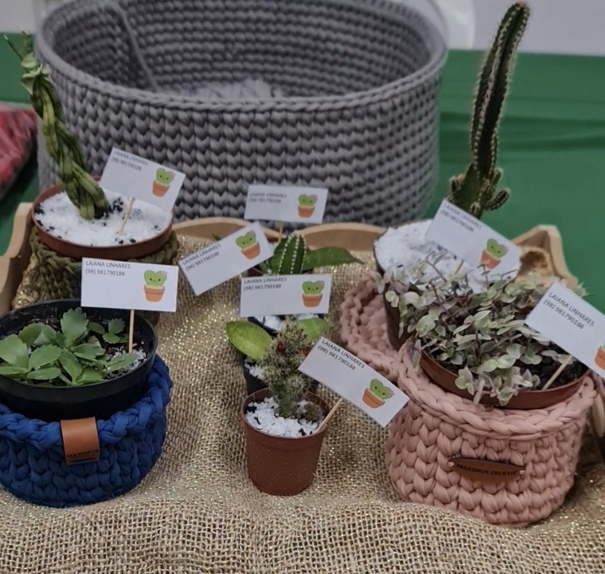 queiroz_raysa's tweet image. Está chegando mais uma edição da Feira do Empreendedor, desta vez no IPREV! 🫶🏼