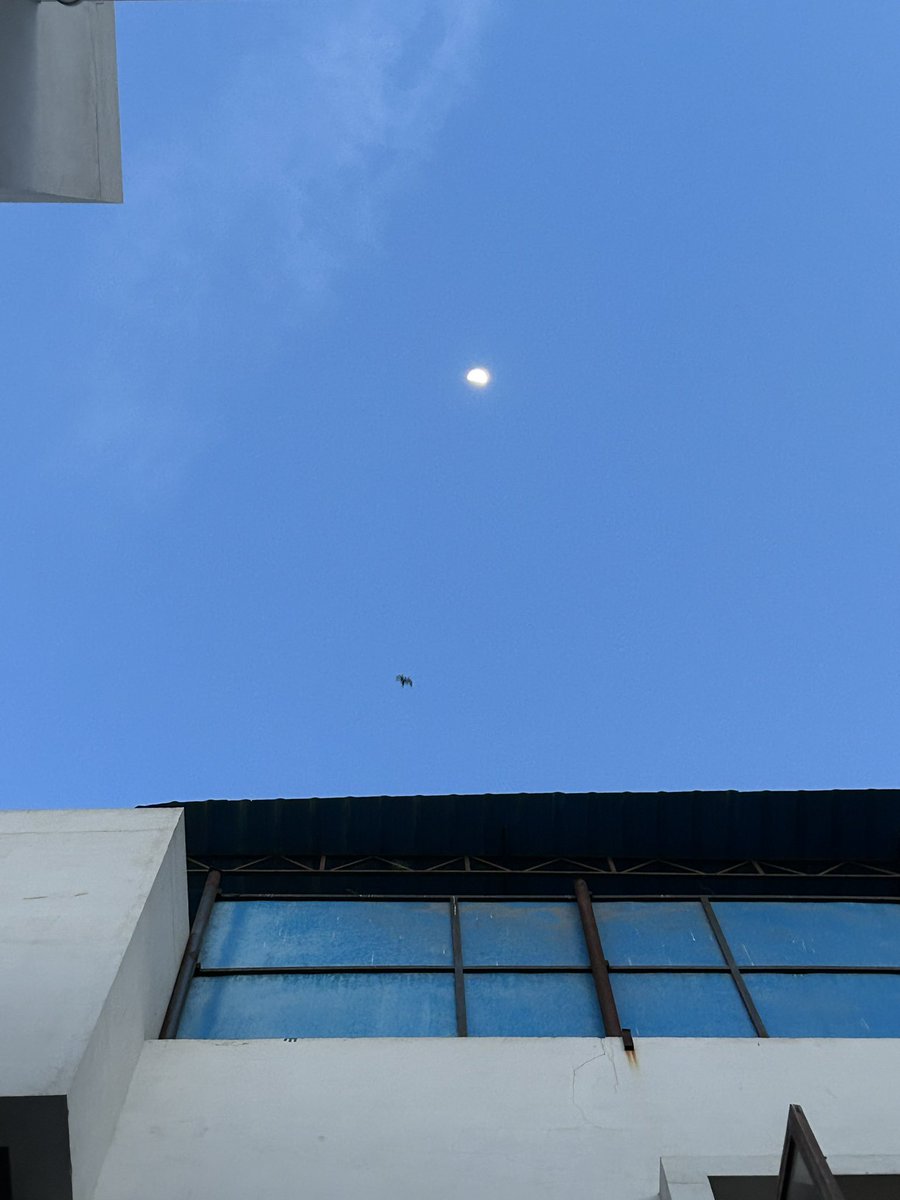 bosswomenn's tweet photo. Moon reminds me of you🩵 https://t.co/sHmRi0JOu7