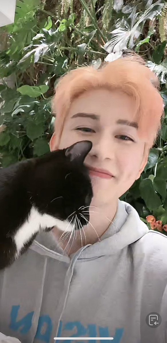 mackerelIl's tweet photo. 이자식 고양이 아니야
자꾸 부비적거려 https://t.co/5SyvpoVYZj