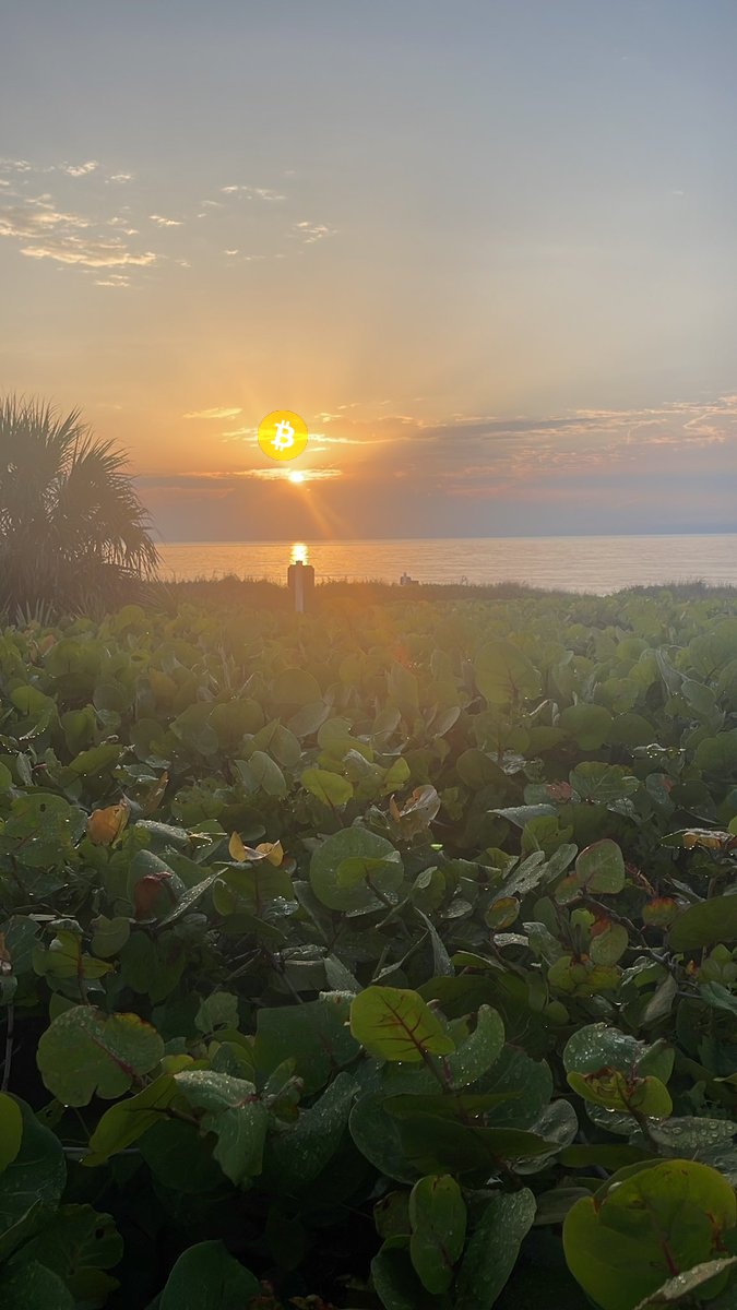 Bitcoin is the Sun tweet media