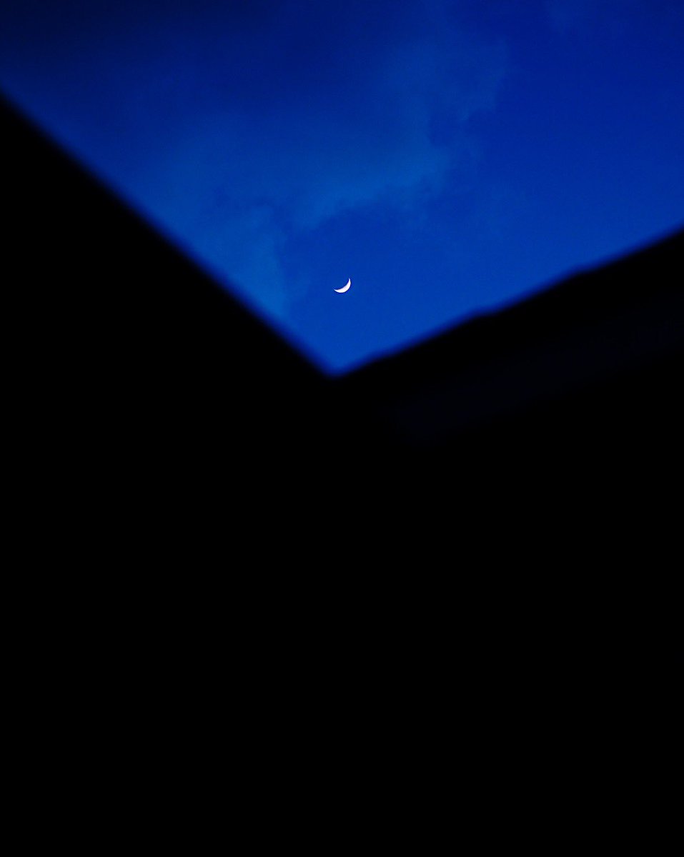 Rob Yaskovic tweet media