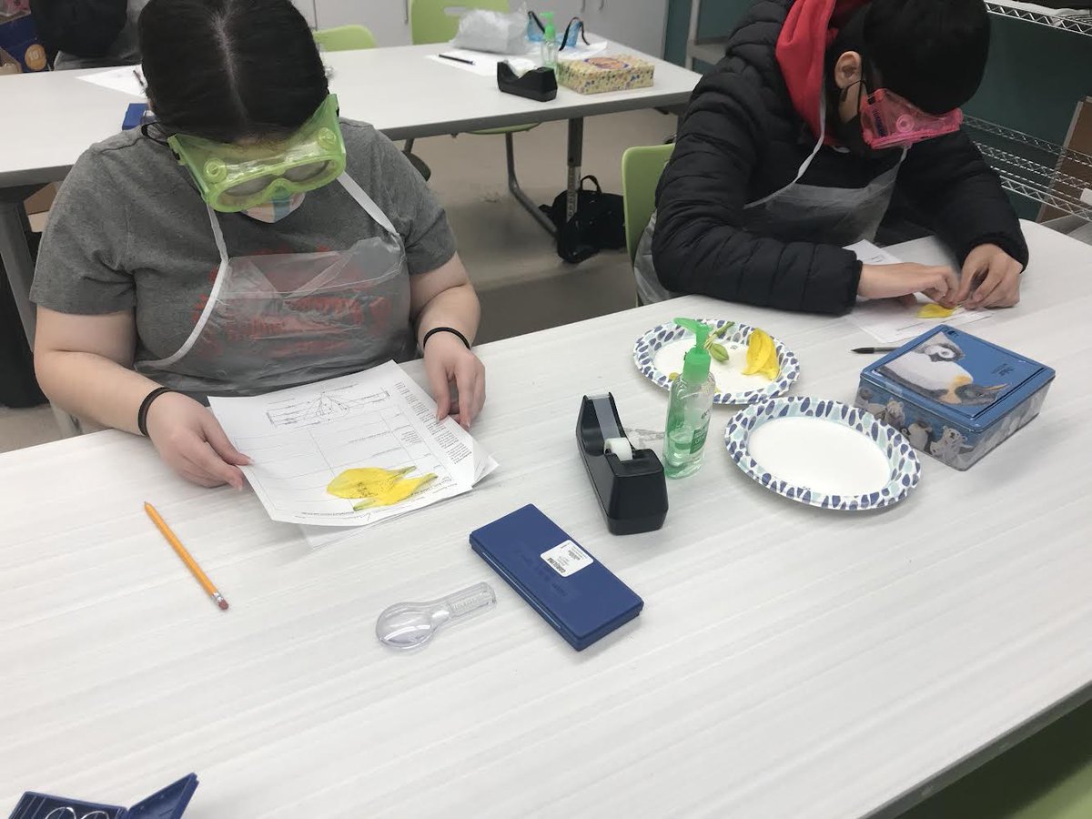 Pathways Illinois tweet media