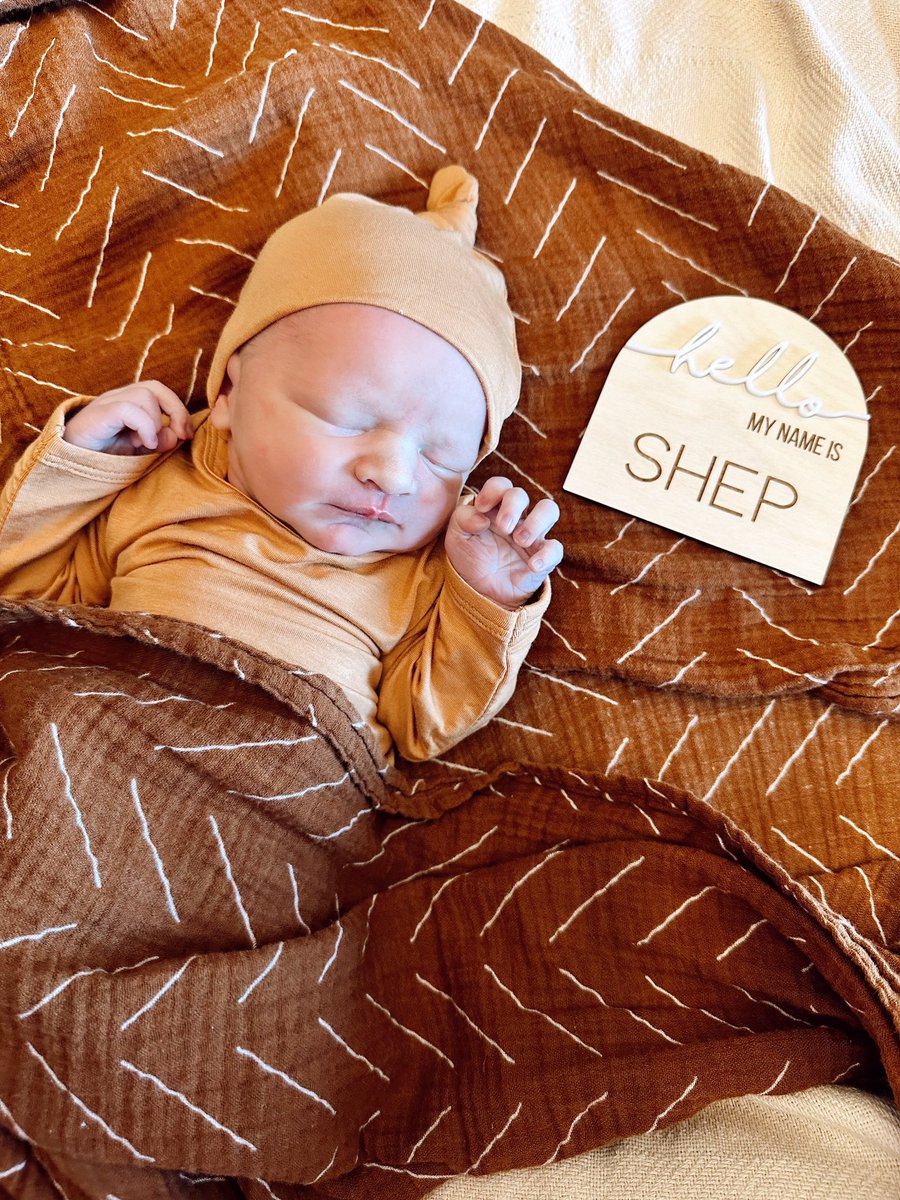 Taylor Olson tweet media