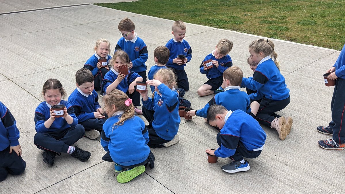 Gnmgreenteam's tweet photo. @Gnmgreenteam helped jun &amp; sen infants to plant veg seeds &amp; flowers, earthed up the spuds, potted on sunflower seedlings with 3rd class, planted more peas &amp; prepped the raised beds. Ensured all the seedlings were lovely and damp before weekend @GreenSchoolsIre @TramoreEcoGroup https://t.co/3hAjw01V6e